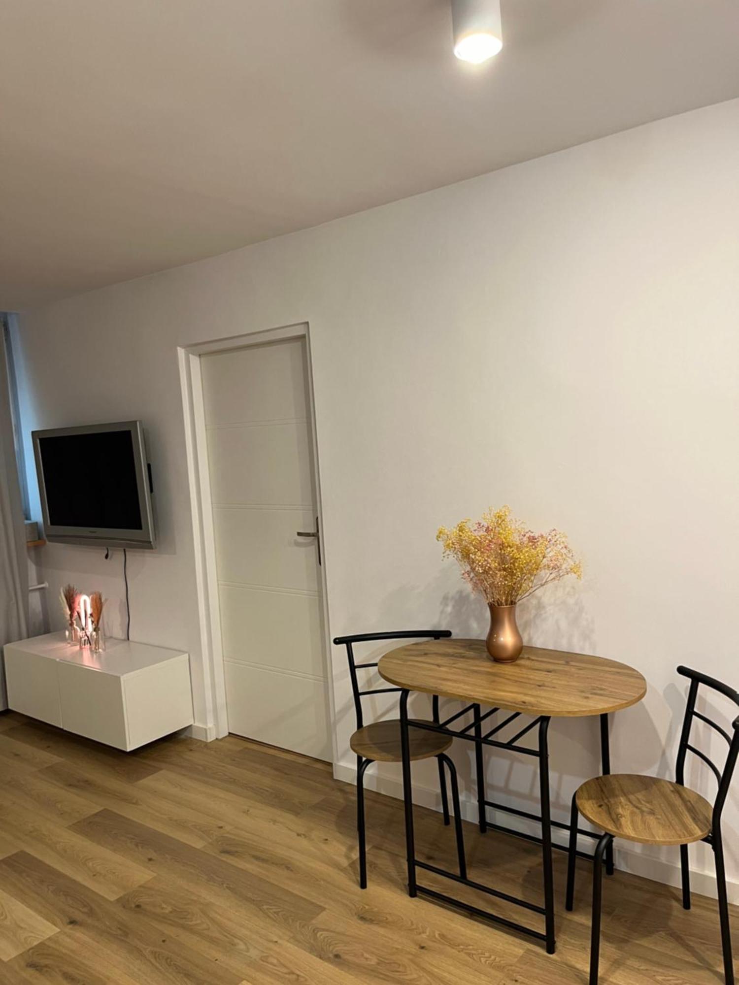 Przy Stadionie Slaskim I Parku Slaskim Tysiaclecie Apartment
