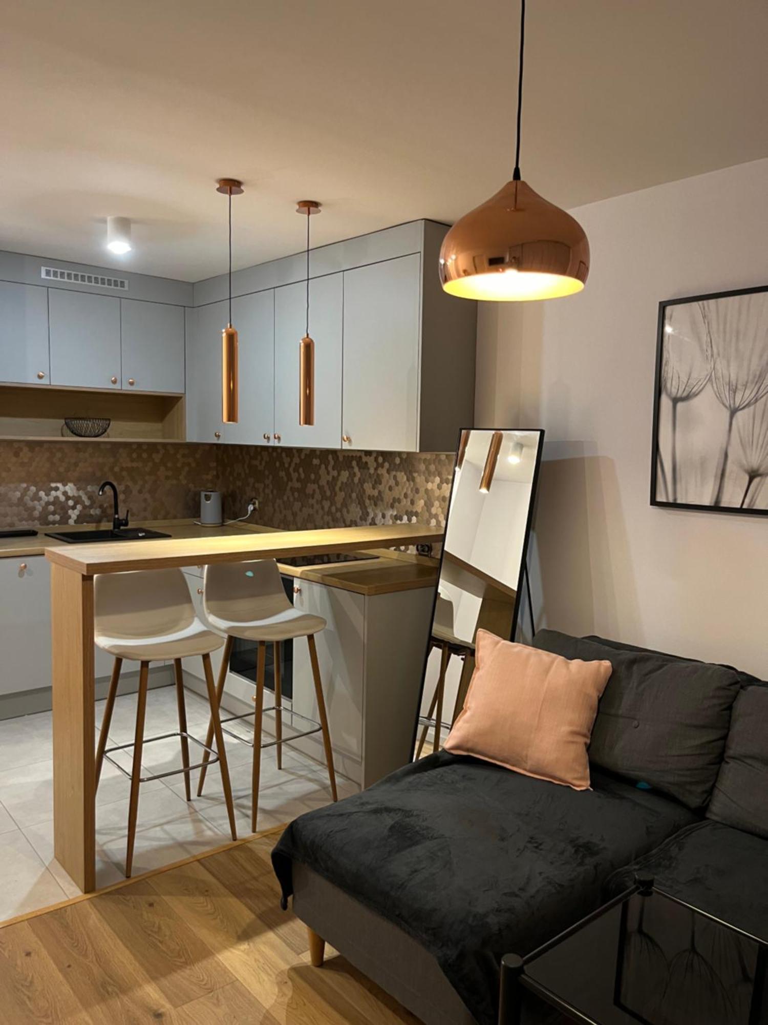 Apartment Przy Stadionie Slaskim I Parku Slaskim Tysiaclecie *