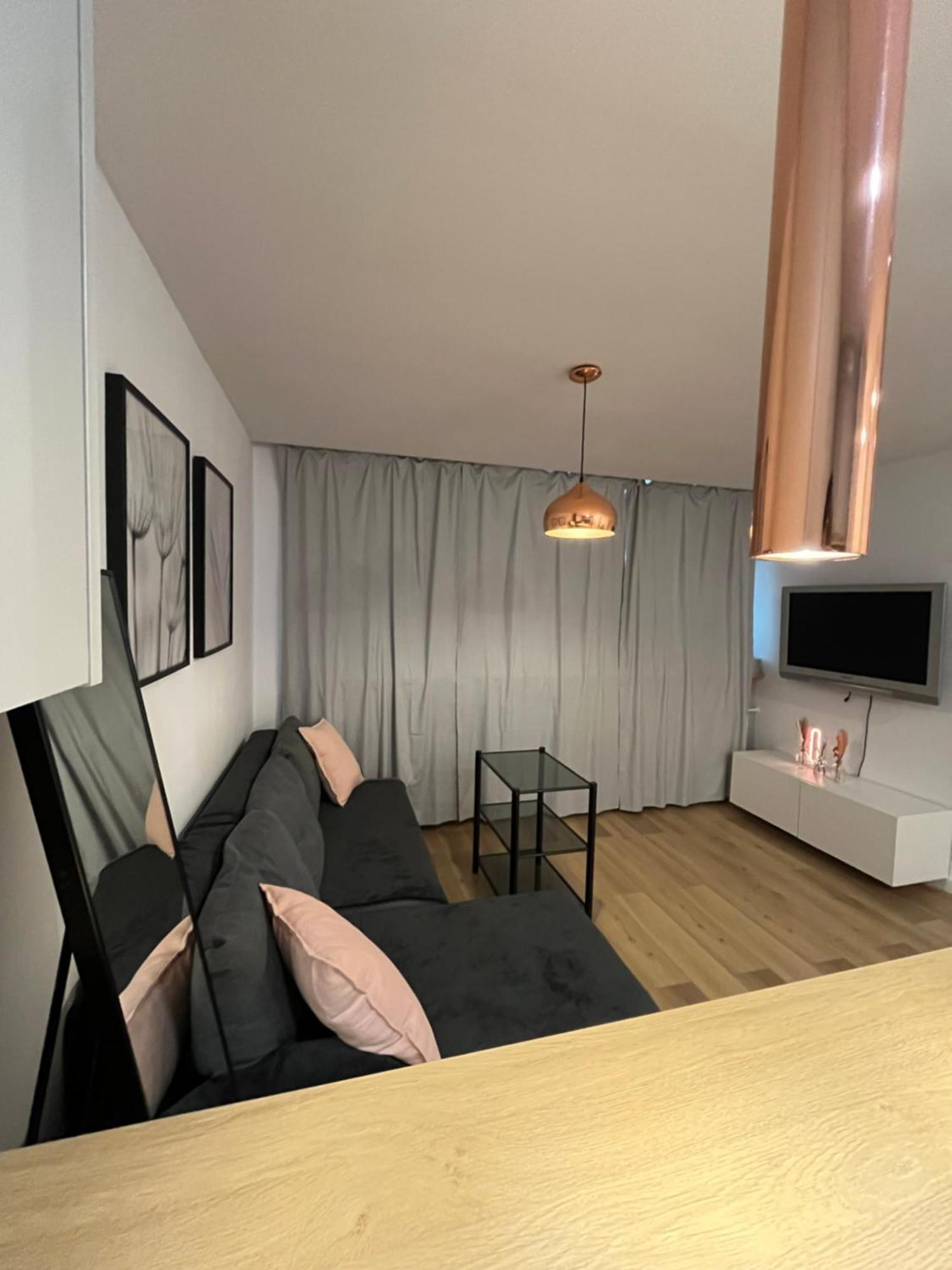 Apartment Przy Stadionie Slaskim I Parku Slaskim Tysiaclecie *